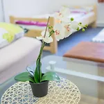 오플레탈로바 프라하