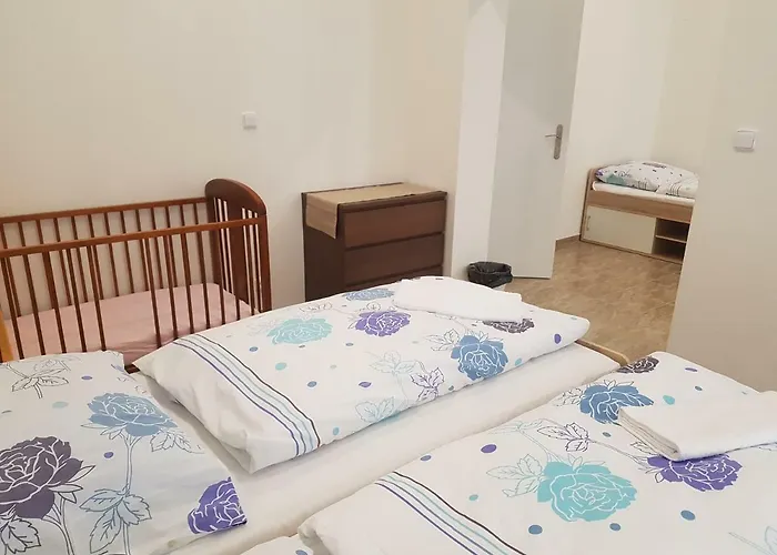 Vandrarhem Opletalova Prag