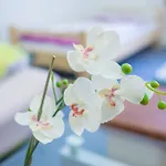 ホステル オプレタロヴァ *