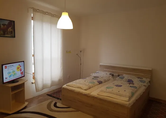 אכסניה Opletalova פראג