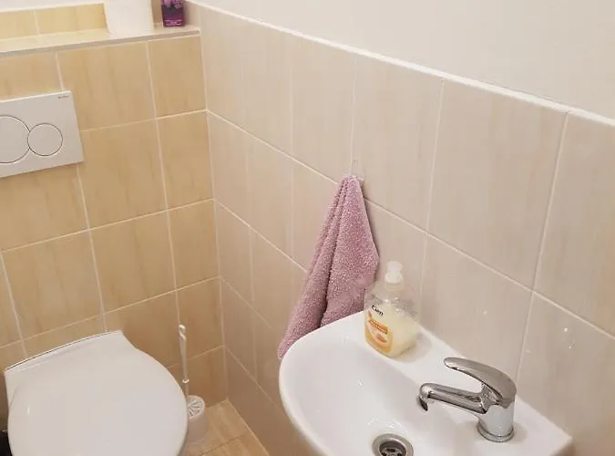 אכסניה Opletalova