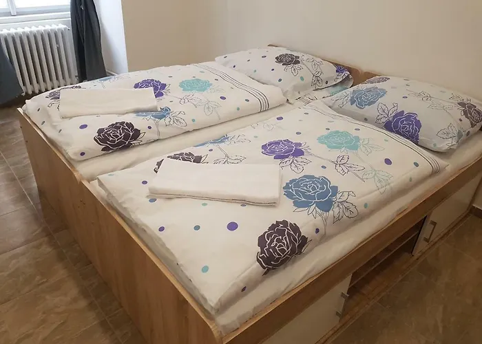 ホステル ホステル オプレタロヴァ プラハ